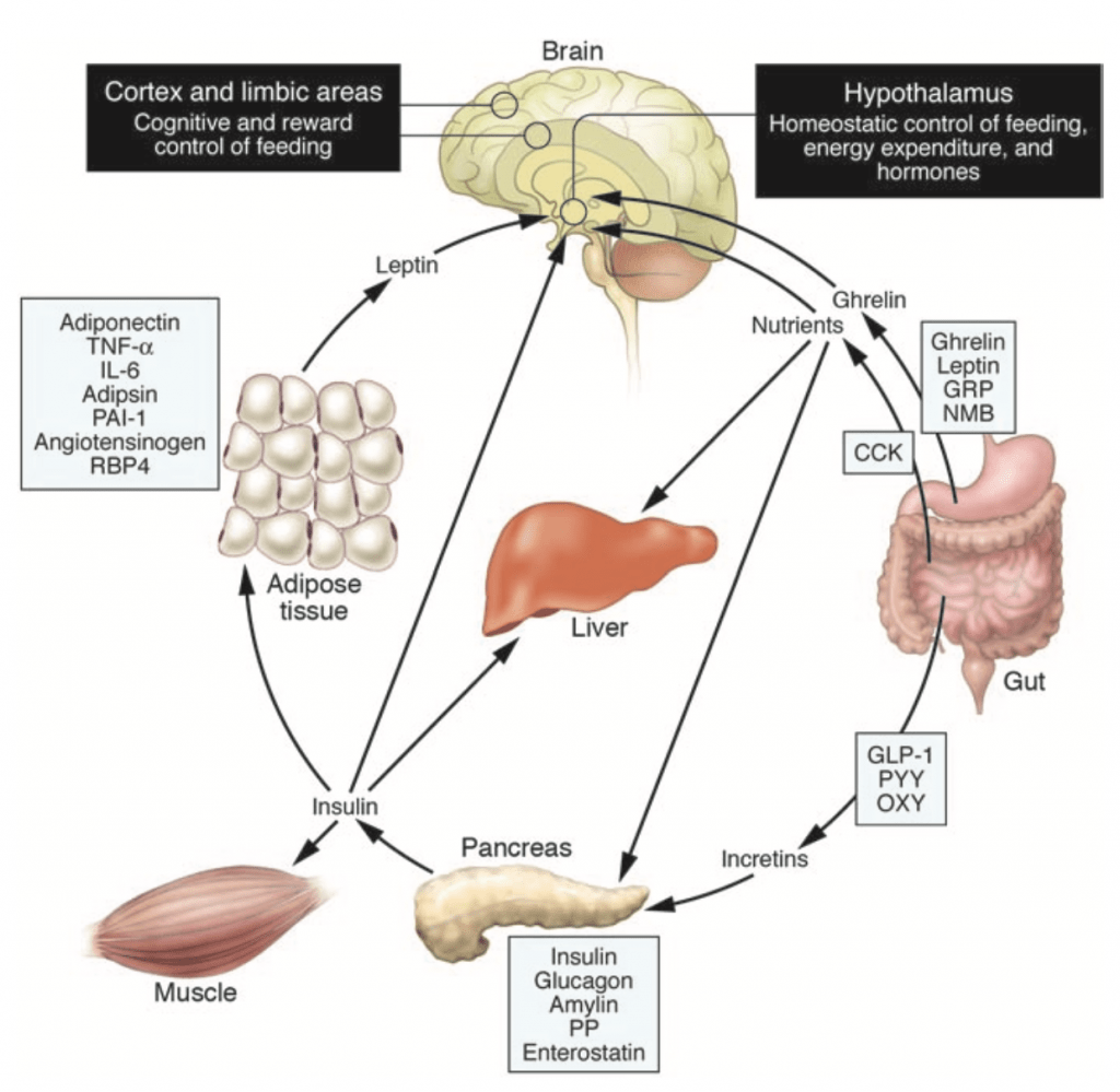A Scientific, Proven Way to Weight Loss & Dieting Part 1 JC Fitness