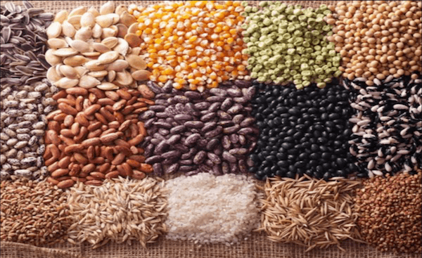 Why Might Grains Make You Feel Sick?