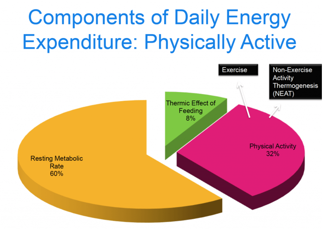 Personal Trainer Collective Evidence Based Exercise Part II JC Fitness