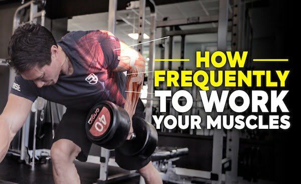 How often you should work each muscle