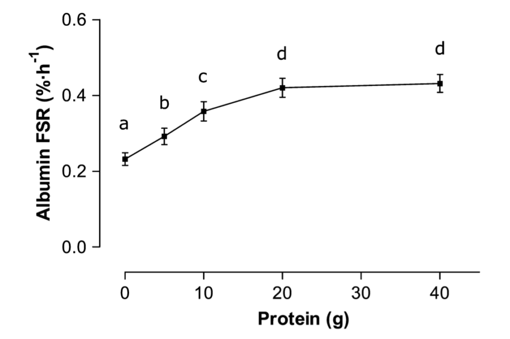 how much protein for muscle growth?