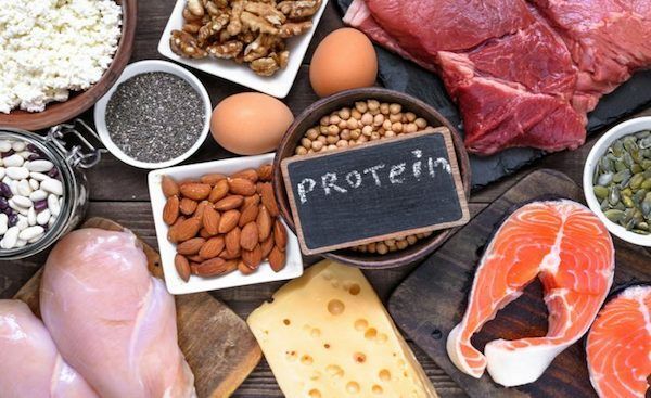 protein intake for muscle growth